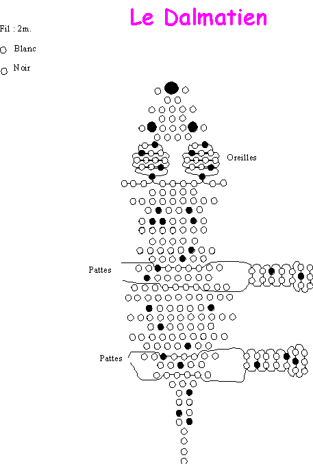 Dalmata