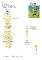 Marsupilami