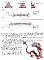 Chinese dragon 3.