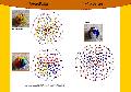 Labdk 2