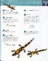Szalamandra 2