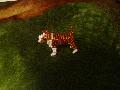 Bullterrier