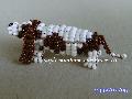 Basset hound-vals