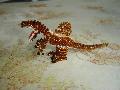 Spinosaurus