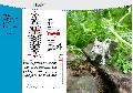 Husky