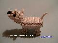 West Highland White Terrier