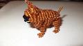 Francia bulldog