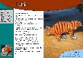 Nutria 1
