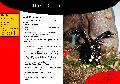 Prduc srkny 1