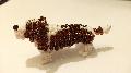 Basset hound