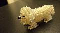 Coton de tulear